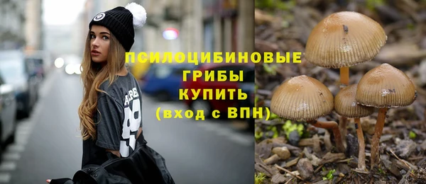 амф Кулебаки