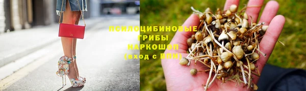 крисы Куйбышев