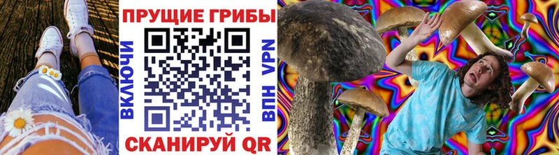 mega ссылки  Купино  Галлюциногенные грибы мухоморы 